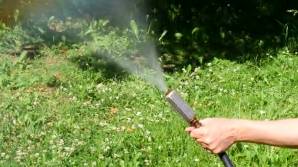 一个男园丁正在他的避暑别墅浇灌草坪 夏天户外活动 照顾大自然 一只手拿着水软管给草坪浇水 — 图库视频影像