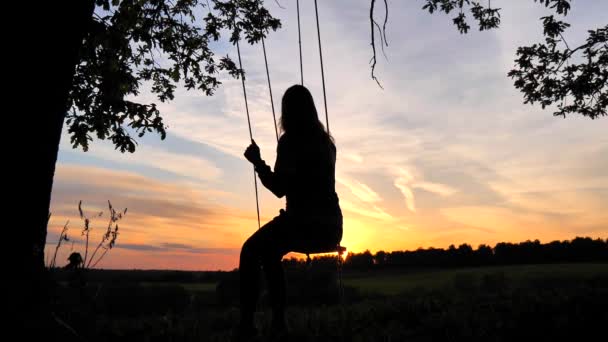 一个年轻的姑娘坐着 在树梢上荡秋千 挡住夕阳 背景天空和日落上的轮廓女孩 寂寞的女人 木村秋千 挂在橡树上的绳子上 — 图库视频影像
