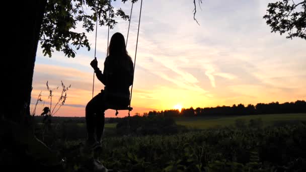 Une Jeune Fille Assoit Oscille Dans Arbre Contre Coucher Soleil — Video