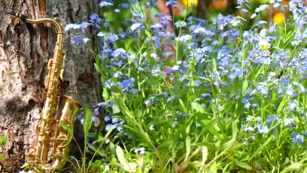 Золотий Саксофонський Альт Мініатюрі Стоїть Дереві Тлі Маленьких Блакитних Квіток — стокове відео