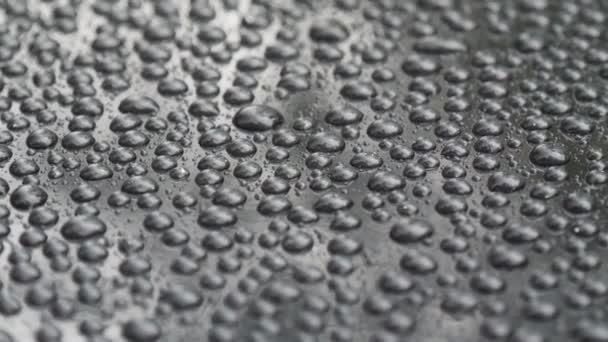 Water Drops Gray Background Close Water Droplets Background Beautiful Condensed — Stock Video