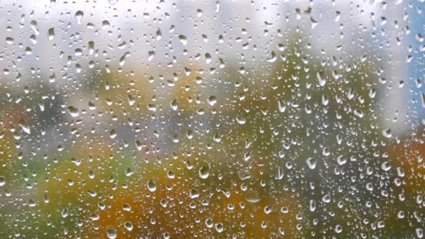 窓に雨が降る 雨の滴が窓の下を流れる 背景がぼやけている窓ガラスに水や雨の滴が落ちる 悲しみ 大胆さ 秋のうつ病 — ストック動画