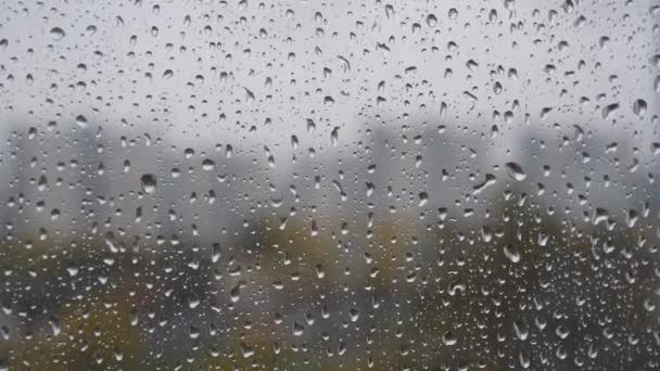Pencerede Yağmur Damlaları Pencereden Bir Damla Yağmur Akıyor Arka Planda — Stok video