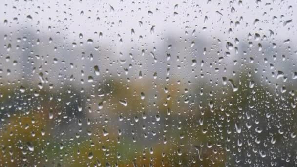 창문에 빗방울 창문으로 빗방울이 흘러내린다 유리에는 건물의 흐릿하게 보이는 물방울 — 비디오