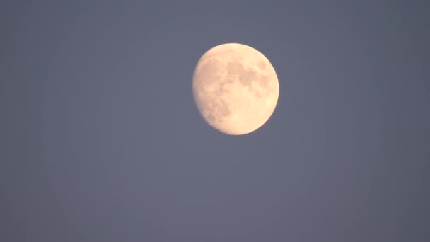 Luna Llena Cielo Cruza Horizonte Luna Cercana Cráteres Luna Son — Vídeos de Stock