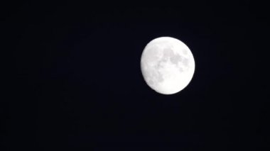 Gökyüzündeki dolunay ufukta hareket ediyor. Yakın Ay 'da Ay' ın kraterleri görülebilir. Güzel gece manzarası ve ayın hareketi. Karanlık gökyüzünde güzel, beyaz bir ay. Gece gökyüzü.