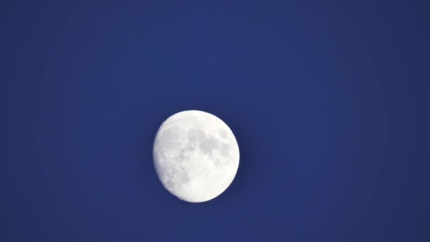 Luna Llena Cielo Cruza Horizonte Luna Cercana Cráteres Luna Son — Vídeos de Stock