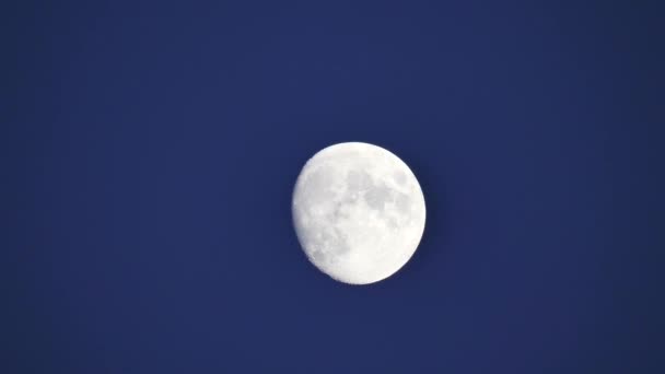 Lua Cheia Céu Move Através Horizonte Lua Perto Crateras Lua — Vídeo de Stock