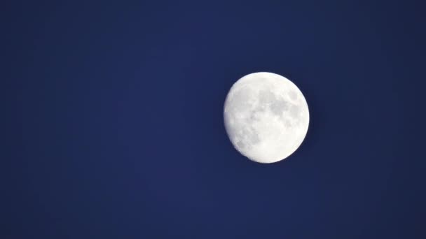 空の満月が地平線を横切って移動します 月の接近 月のクレーターが見えます 美しい夜の風景と月の動き 暗い空に美しい白い明るい月 — ストック動画