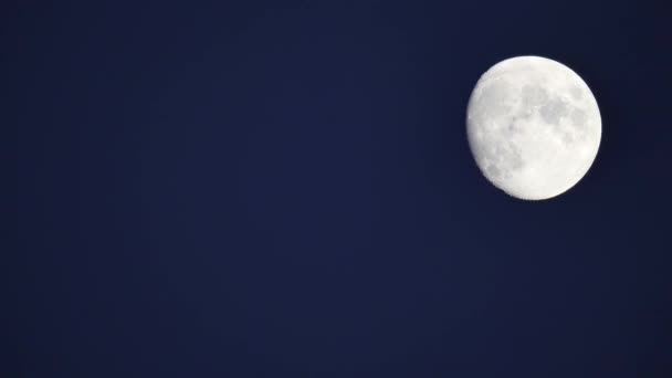 满月在地平线上穿行 近距离的月亮 月球的陨石坑是可见的 美丽的夜景和月亮的运动 美丽的白色明月在漆黑的天空中 — 图库视频影像