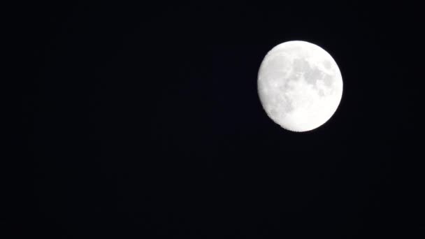 Luna Llena Cielo Cruza Horizonte Luna Cercana Cráteres Luna Son — Vídeos de Stock