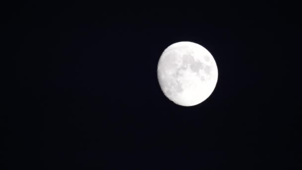 Полнолуние Небе Движется Горизонт Крупным Планом Видны Лунные Кратеры Ночной — стоковое видео