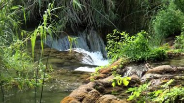Krka Ulusal Parkı 'nda güzel bir dere yavaşça akar. Şelaleler Krka, Ulusal Park, Dalmaçya, Hırvatistan. Nehir ve akıntı yavaş ilerliyor. Bahar nehirleri. Yavaş çekim videosu.