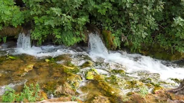 Vacker Bäck Rinner Långsamt Nationalparken Krka Vattenfall Krka Nationalpark Dalmatien — Stockvideo