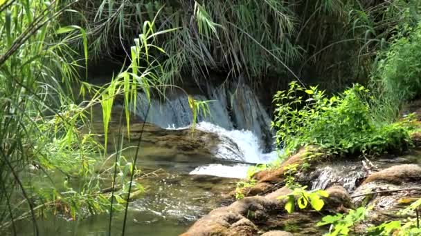 Hermoso Arroyo Fluye Lentamente Parque Nacional Krka Cascadas Krka Parque — Vídeos de Stock