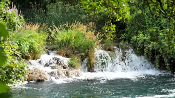 Hermoso Arroyo Fluye Lentamente Parque Nacional Krka Cascadas Krka Parque — Vídeo de stock