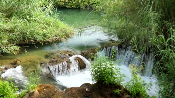 Hermoso Arroyo Fluye Lentamente Parque Nacional Krka Cascadas Krka Parque — Vídeo de stock