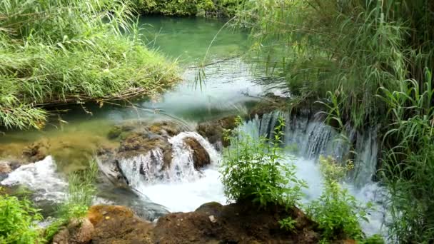 Bela Corrente Flui Lentamente Parque Nacional Krka Cachoeiras Krka Parque — Vídeo de Stock