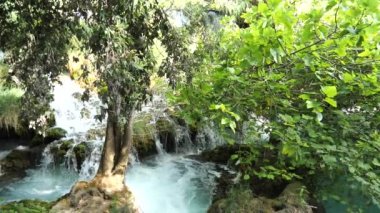 Ağaçlar ve çimenler arasındaki Krka Milli Parkı 'nda şelale çağlayanı gibi güzel nehirler yavaşça akar. Şelaleler Krka, Ulusal Park, Hırvatistan. Suyun, nehrin, akıntının, şelalenin yavaş çekim videosu.