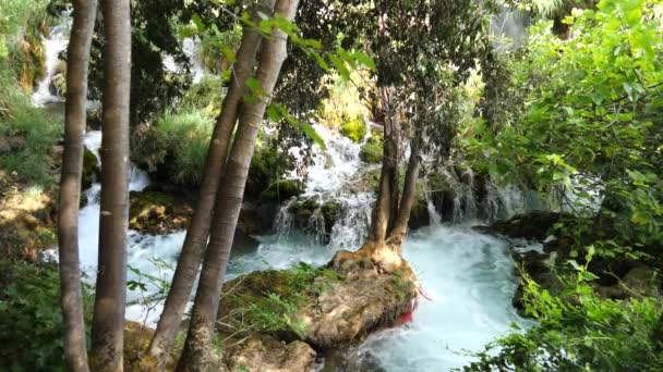 Prachtige Beken Langzaam Stroomt Krka National Park Tussen Bomen Gras — Stockvideo