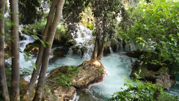 Hermosos Arroyos Fluyen Lentamente Parque Nacional Krka Entre Los Árboles — Vídeos de Stock
