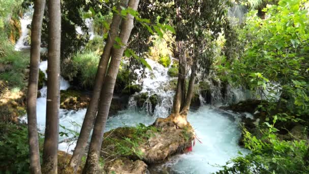 美しいストリームはゆっくりと滝のカスケード 木や草の間にKrka国立公園に流れます クロアチア国立公園クルカ滝 ストリーム 滝のスローモーションビデオ — ストック動画