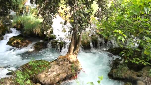 美丽的溪流在克尔卡国家公园的树木和草丛之间缓缓流淌 瀑布层叠 克罗地亚国家公园的瀑布克尔卡水 瀑布慢镜头 — 图库视频影像