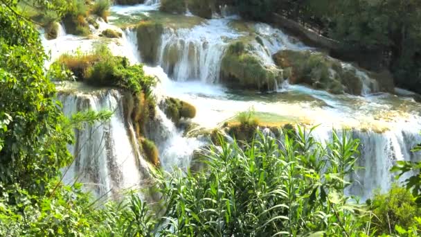 クロアチア国立公園クルカ滝 美しいストリームはゆっくりと滝のカスケード 木や草の間にKrka国立公園に流れます ストリーム 滝のスローモーションビデオ — ストック動画