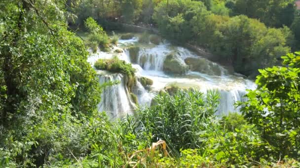 Şelaleler Krka Ulusal Park Hırvatistan Ağaçlar Çimenler Arasındaki Krka Milli — Stok video