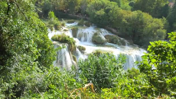 Cascadas Krka Parque Nacional Croacia Hermosos Arroyos Fluyen Lentamente Parque — Vídeos de Stock