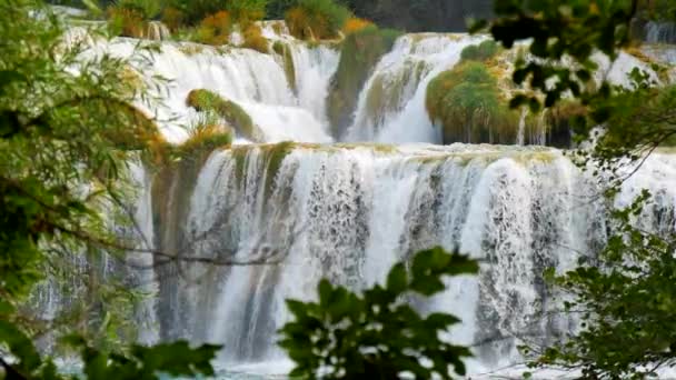 Vízesések Krka Nemzeti Park Horvátország Gyönyörű Patakok Lassan Folynak Krka — Stock videók