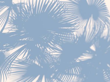 Palmiye ağacından düşen gölgeler. 3d hazırlayıcı