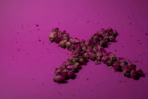 X-shaped - Rosas rosadas sobre un fondo rosa —  Fotos de Stock