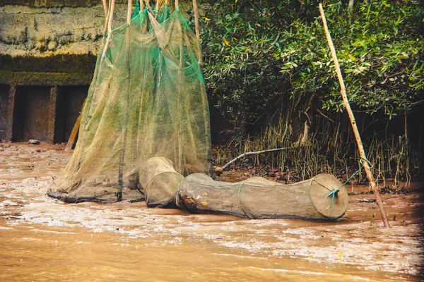 Pêche avec un fyke à marée basse au Vietnam, delta du Mékong — Photo