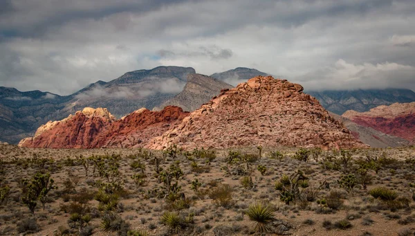 Red Rock Canyon Ulusal Koruma Ar Twocoloured kaya — Stok fotoğraf