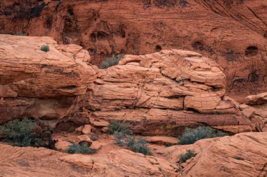 Kırmızı Rock Red Rock Canyon Ulusal koruma alanı, ABD