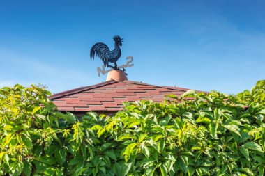 Siyah ve mavi metal fırıldak vahşi yeşil duvar çatı üzerinde