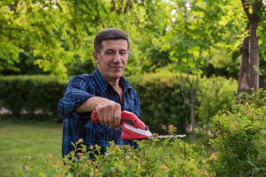 Emekli adam yeşil çit kırpma