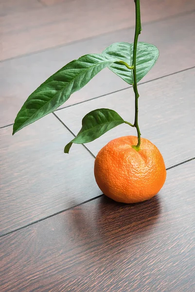 Čerstvé mandarinky nebo mandarinky na větvi — Stock fotografie