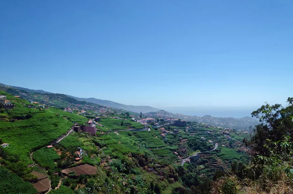 Típicos suburbios rurales adosados de la ciudad costera de Camara de Lobos — Foto de Stock