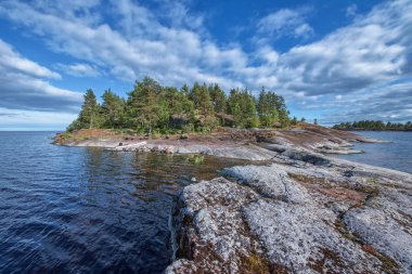 Kayaların üzerinde büyüyen çam ormanı