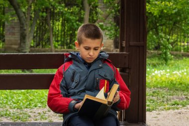 Ciddi çocuk kahverengi tahta bankta kitap okuyor. 