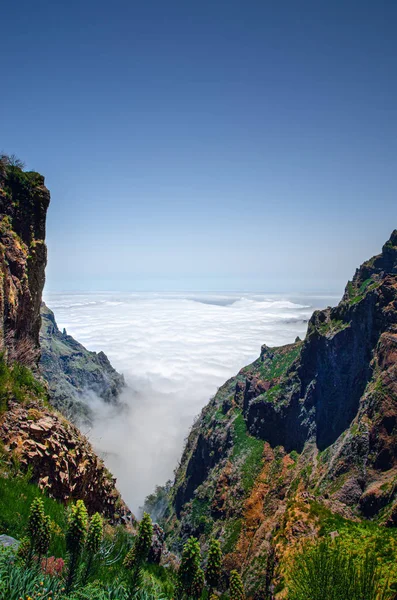 마데이라 협곡 이 빽빽 한 구름 위로 내려다 보이는 곳 — 스톡 사진