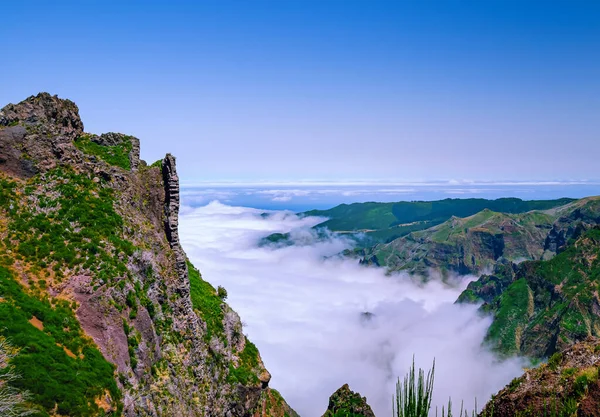 Muhteşem Madeira Adası Manzaralı Tebrik Kartı Için Yatay Arka Plan — Stok fotoğraf