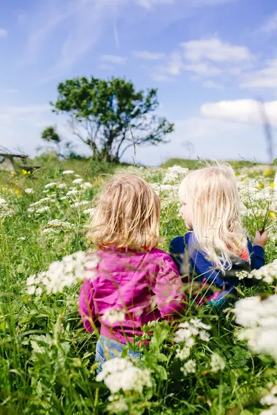 Schwestern spielen auf dem Feld gegen den Himmel — Stockfoto