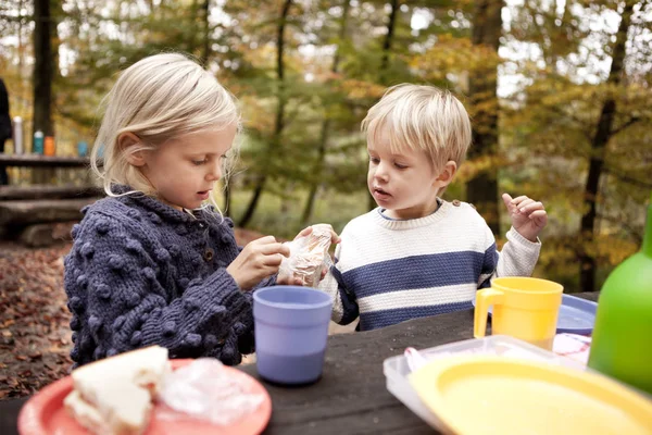 Brother and sister having breakfast at picnic — Stock Photo, Image