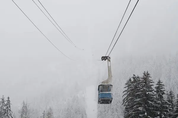 Cable car over coniferous trees in winter — Stock Photo, Image