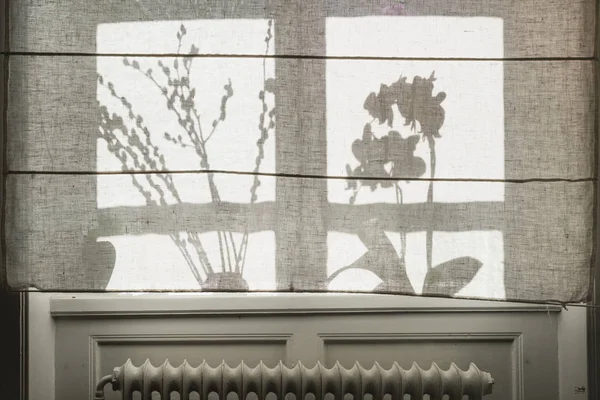 Silhuetas de plantas atrás de cortina — Fotografia de Stock
