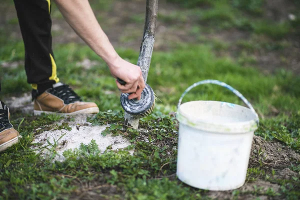 Spring whitewashing of trees. Protection from sun and pests. Ukraine — Stock Photo, Image