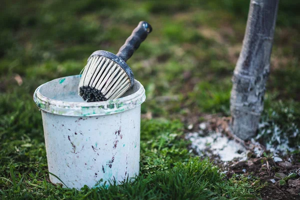 Calce primaverile dagli alberi. Protezione da sole e parassiti. Ucraina — Foto Stock